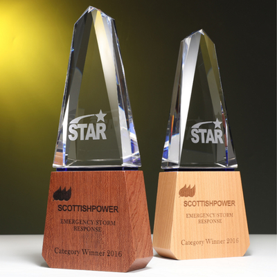 Trofeos de resina personalizados Trofeo de combinación de cristal y madera sólida