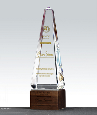Trofeos de resina personalizados Trofeo de combinación de cristal y madera sólida
