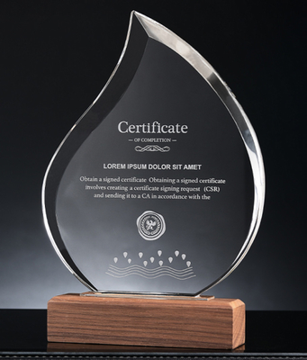Trofeos de resina personalizados con base de madera Trofeo de cristal personalizado
